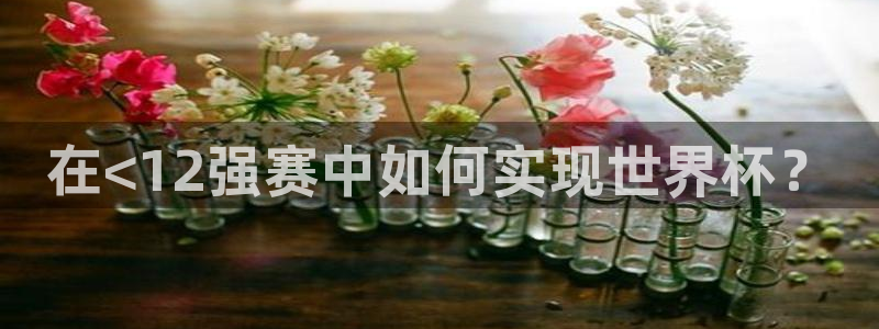 2026世界杯亚洲区预选赛：在<12强赛中如何实现世界杯？