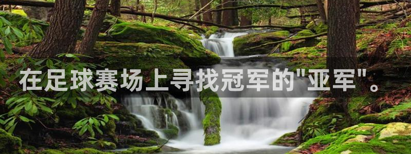 2026足球世界杯赛程：在足球赛场上寻找冠军的\