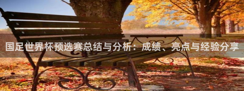 2026世界杯亚洲区预选赛赛程：国足世界杯预选赛总结与分析：成绩、亮点与经验分享