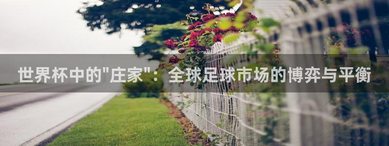英格兰联赛杯直播：世界杯中的\