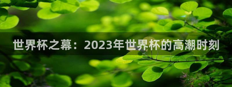世界杯附加赛赛程表：世界杯之幕：2023年世界杯的高潮时刻