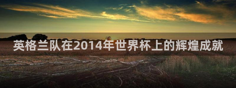 2026世界杯倒计时：英格兰队在2014年世界杯上的辉煌成就