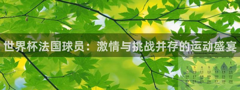 世界杯预选赛排名：世界杯法国球员：激情与挑战并存的运动盛宴