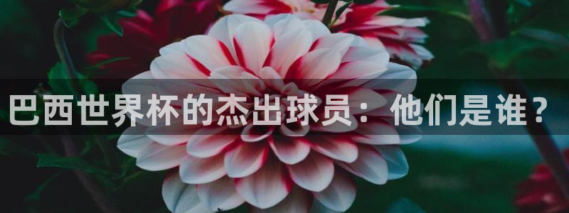 2026世界杯亚洲预选赛：巴西世界杯的杰出球员：他们是谁？