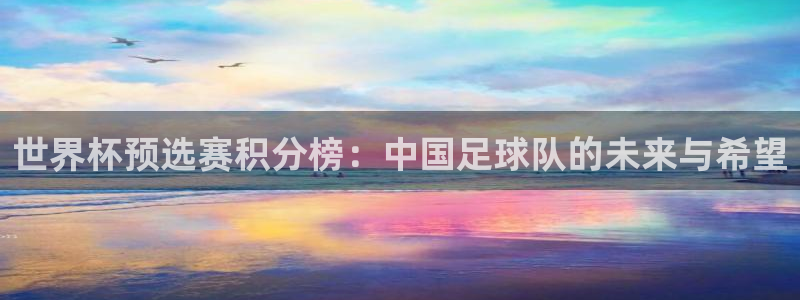 2026世界杯日期：世界杯预选赛积分榜：中国足球队的未来与希望
