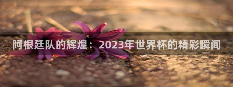 世界杯决赛圈球队：阿根廷队的辉煌：2023年世界杯的精彩瞬间
