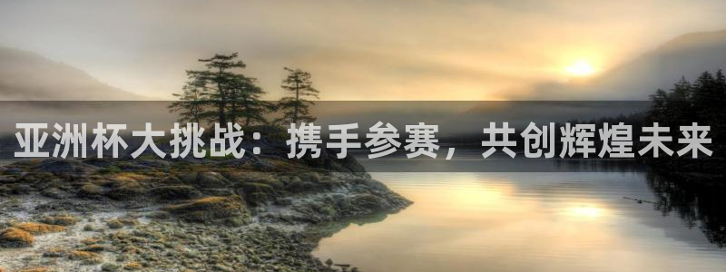 足球世预赛：亚洲杯大挑战：携手参赛，共创辉煌未来