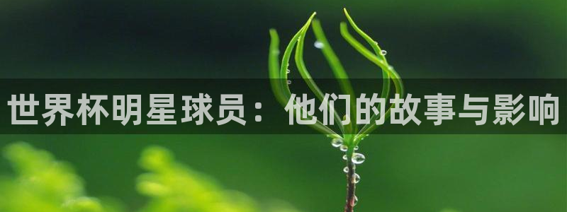 2026年世界杯时间表：世界杯明星球员：他们的故事与影响